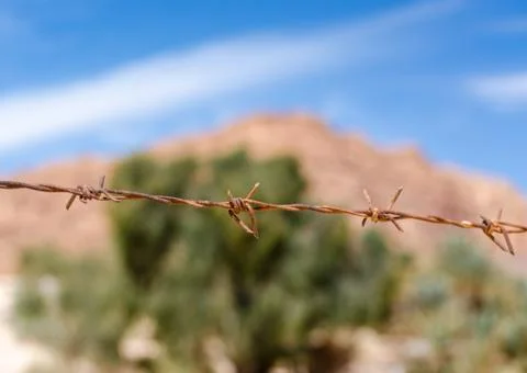Rusty barbed wire on a background of green plants and a blue sky with clouds Foto stock