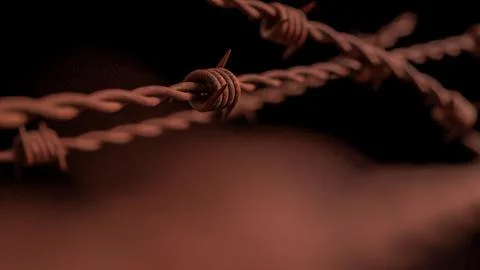 The Rusty Barbed wire on Black Background  for  Abstract  or war concept 3d.. Stock-Illustration