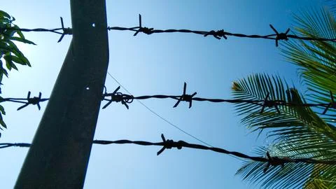 Rusty barbed wire on blue sky background Stock Photos