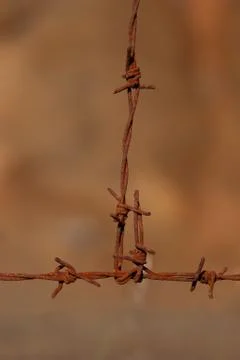 Rusty barbed wire on blurred brown background Stock Photos