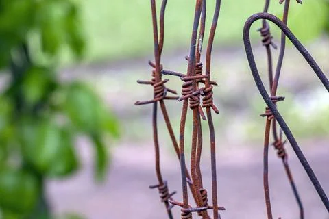 Rusty Barbed Wire Close Up with Copy Space Fotos Stock