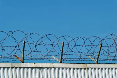 Rusty barbed wire coils on top of a white corrugated metal fence under blue s Stock Photos