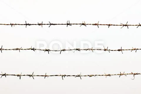 Rusty barbed wire detention center isolated on white Stock Photos