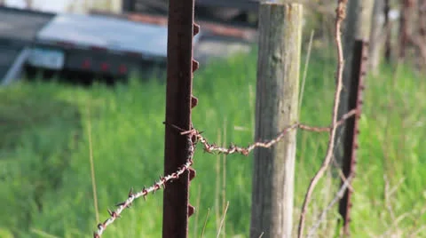 Rusty Barbed Wire Fence Stock Footage 25000868