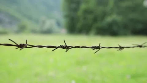 Rusty barbed wire. fence for pasture in the countryside. Stock Footage 245331049