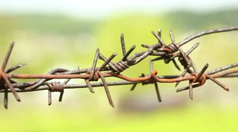 Rusty barbed wire 動画素材 63158297