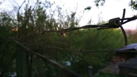 Rusty barbed wire. Forest behind barbed wire. Stock Footage 113326489