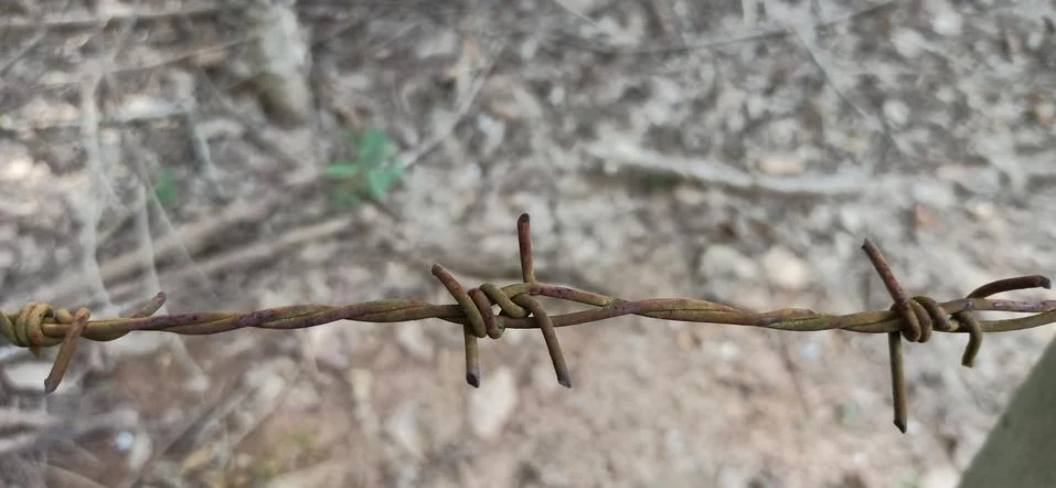 Rusty barbed wire in the forest Stock Photos