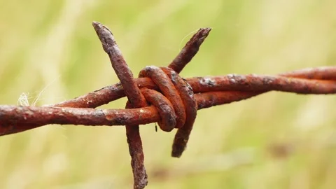 Rusty barbed wire macro close up background stock footage Vídeo Stock 314310339