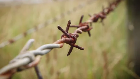 Rusty barbed wire macro close up background stock footage Vídeos de archivo 314460524