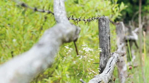 Rusty barbed wire on old posts. Stock Footage 56874121