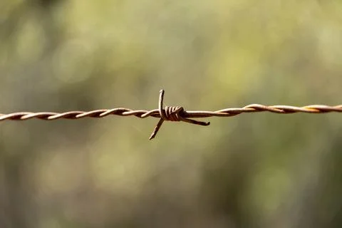Rusty barbed wire with out-of-focus background Stock Photos