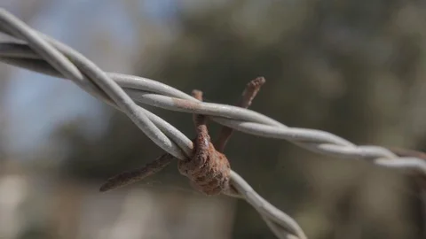 Rusty Barbed Wire Outside Property Stock-Footage 114585050