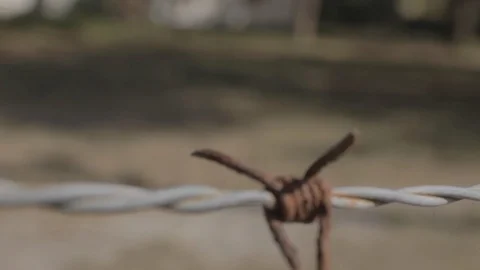 Rusty Barbed Wire Outside Property Stock Footage 114585068