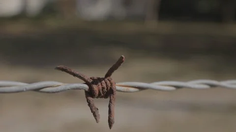 Rusty Barbed Wire Outside Property Stock-Footage 114585085