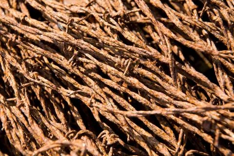 Rusty barbed wire Stock Photos