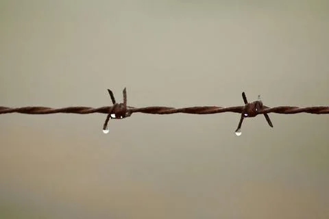 Rusty barbed wire Stock Photos