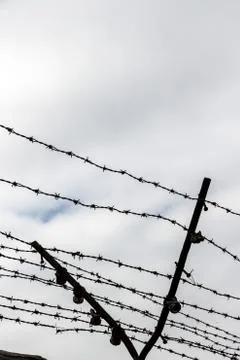 Rusty barbed wire Stock Photos