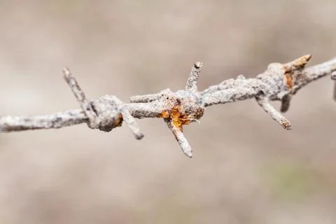 Rusty barbed wire Stock Photos