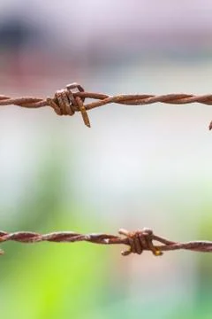 Rusty barbed wire Stock Photos