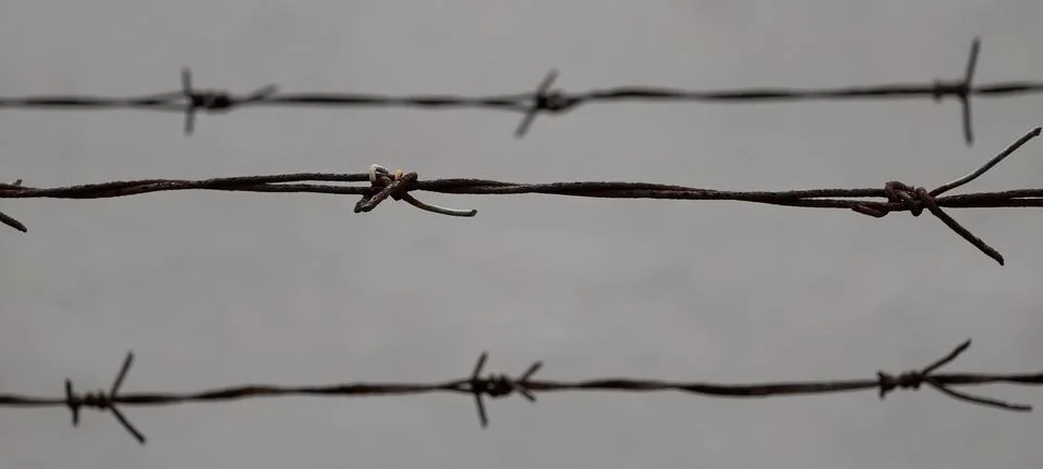 Rusty Barbed Wire Stock Photos