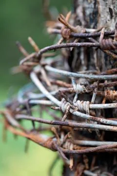 Rusty barbed wire reeled up on the post 写真素材