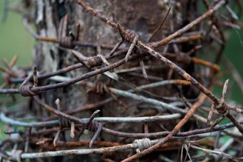 Rusty barbed wire reeled up on the post 写真素材