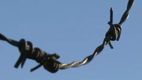 Rusty barbed wire rocks Vídeo Stock 100432599