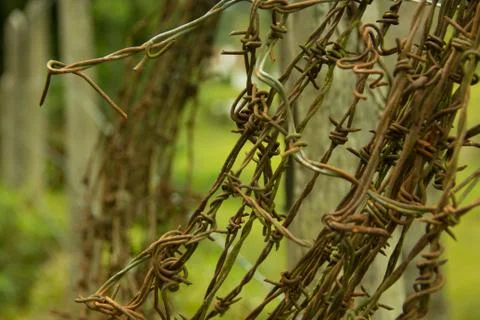 Rusty barbed wire rolled Stock Photos
