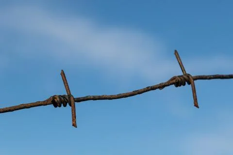 Rusty barbed wire stretches against a clear blue sky capturing the essence .. Stock Photos