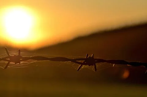 Rusty barbed wire at sunset symbolizing oppression, totalitarianism and war Stock Photos