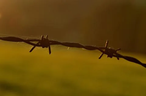 Rusty barbed wire at sunset symbolizing oppression, totalitarianism and war 스톡 사진