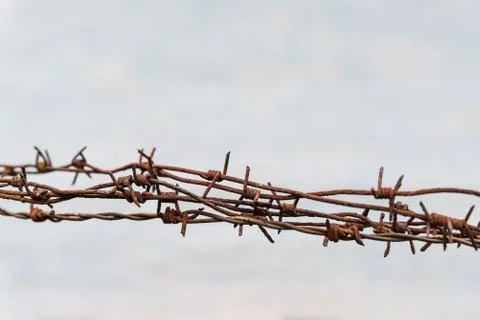 Rusty barbed wires, old wall white background, copy space for text Foto stock