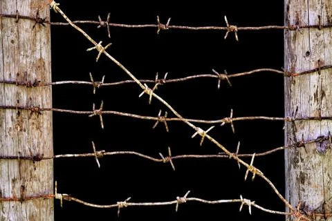 Rusty barbed wires stretched between wooden fence posts isolated on black Foto stock