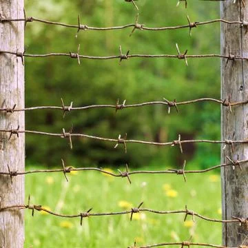 Rusty barbed wires stretched between wooden fence posts with green meadow on Fotos de archivo