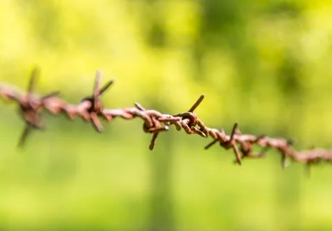 Rusty barbwire detail Stock Photos