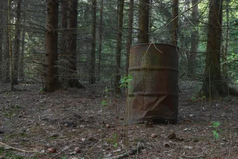 Rusty barrel in the forest Stock Photos