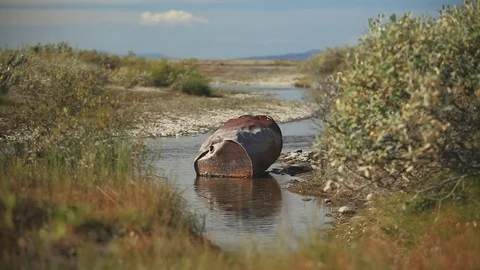 Rusty barrel in the river Stock Footage 75892961