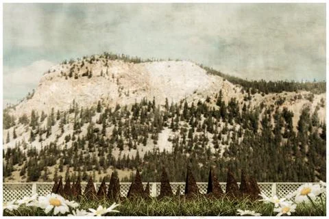 Rusty bear trap Stock Illustration