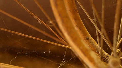 Rusty bicycle wheel spokes Stock Footage 88919000