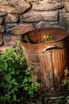 Rusty Bin With Weeds 写真素材