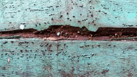 Rusty blue wood texture Stock Photos