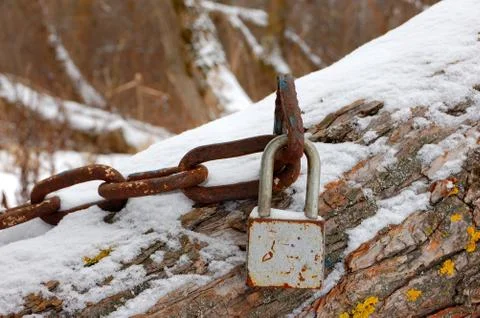 Rusty boat chain with a padlock on a tree in the winter Stock Photos
