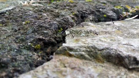 Rusty brick texture Stock Photos