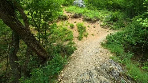 Rusty bridge crosses a lush green forest. Gradasnica River Canyon, Serbia Vídeo Stock 341962023