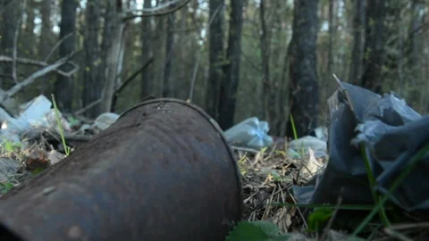 Rusty Bucket And Plastic Trash In The Forest Scatered By People Stock Footage 143699326
