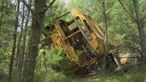 Rusty bus wreck in the forest in Pripyat. Chernobyl nuclear disaster Stock Footage 86024981