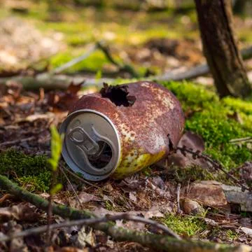 Rusty can in the forest Stock Photos