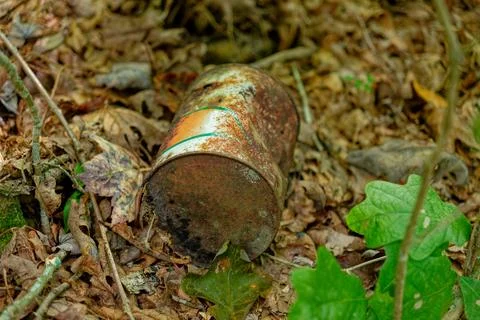 Rusty can in the woods Stock Photos