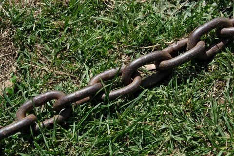 Rusty chain on green grass, close-up. Stock-Fotos